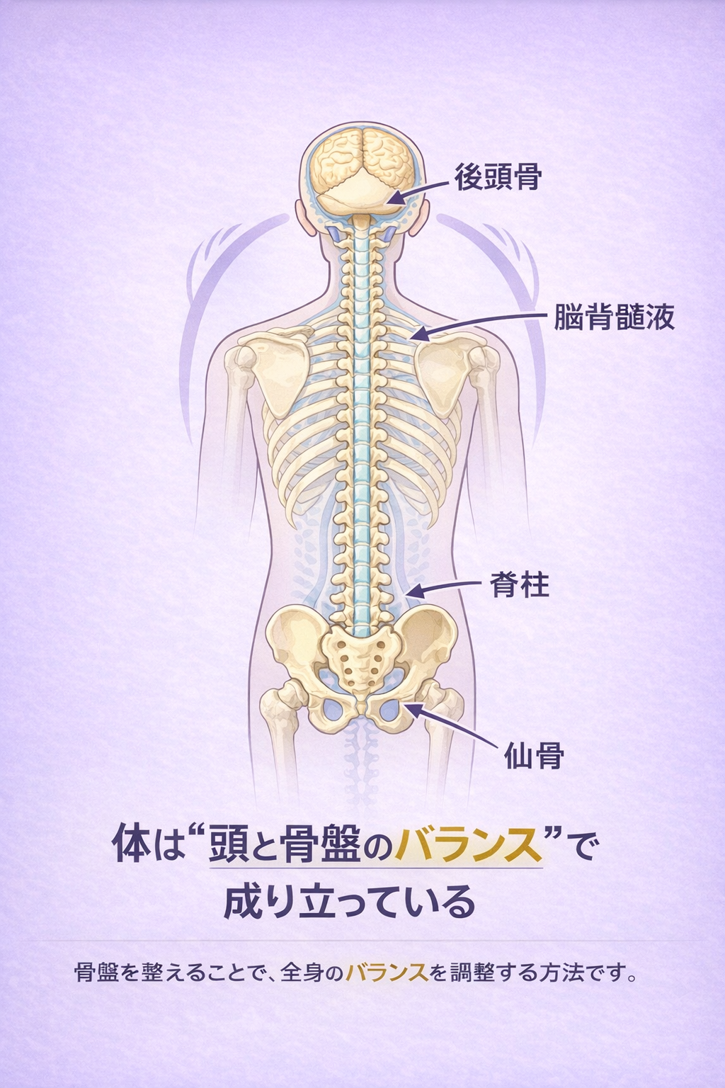 SOTブロック説明イラスト